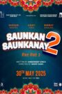 Saunkan Saunkanay 2 (2025) Punjabi Pre DVD