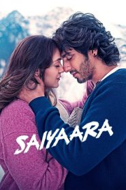 Saiyaara (2025) Hindi HDTS